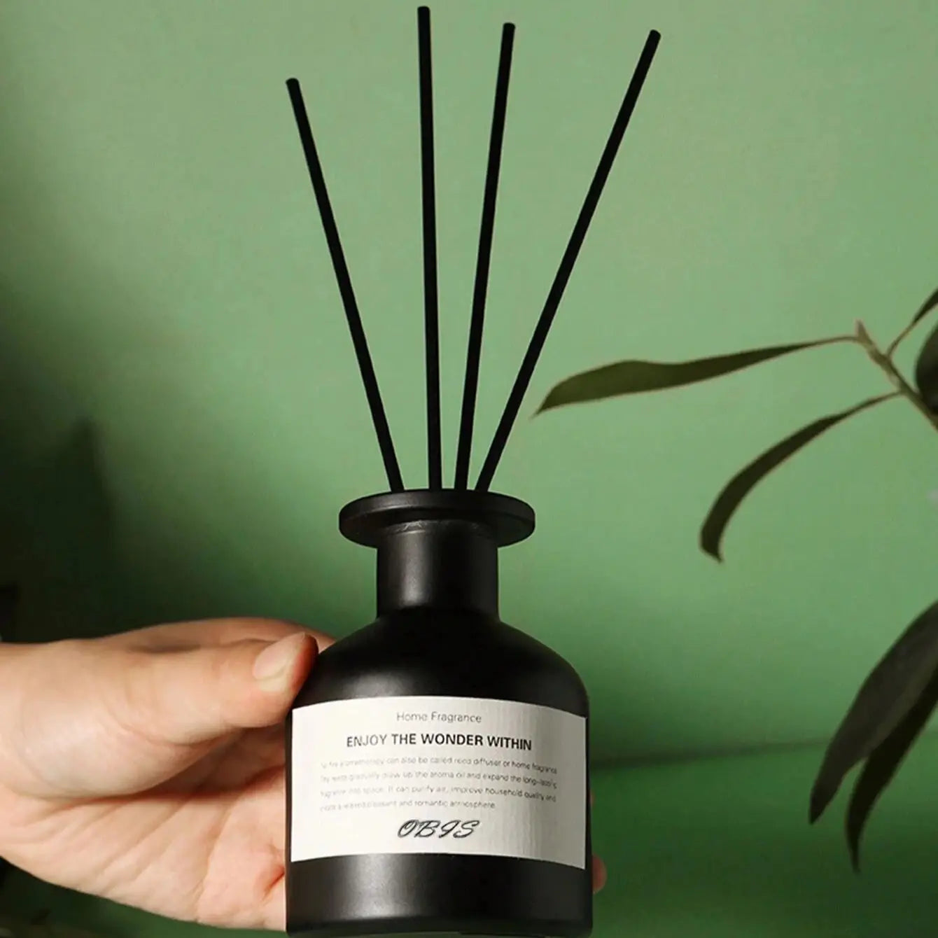 50ml Aromatherapy Essential Oil with Reed Diffuser